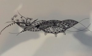 11041818_10152844276003337_7206806778854215512_n (1)