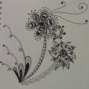 11046831_10152844274968337_2313461561936326782_n