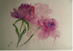 11015919_575573505919292_8383553587019878238_o