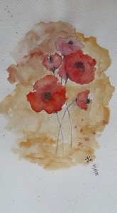 11050660_571334306343212_6608552035812324768_n