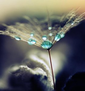 25147a1492d50530de187d6498e65dda