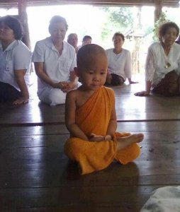 e9b613610e111a4697ee558fda346444